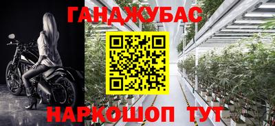 гашик Дубна