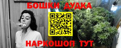гашик Дубна