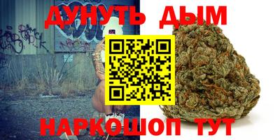 гашик Дубна