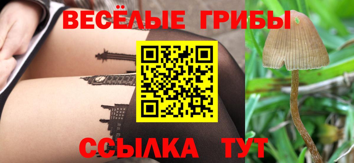 Галлюциногенные грибы Magic Shrooms Новодвинск